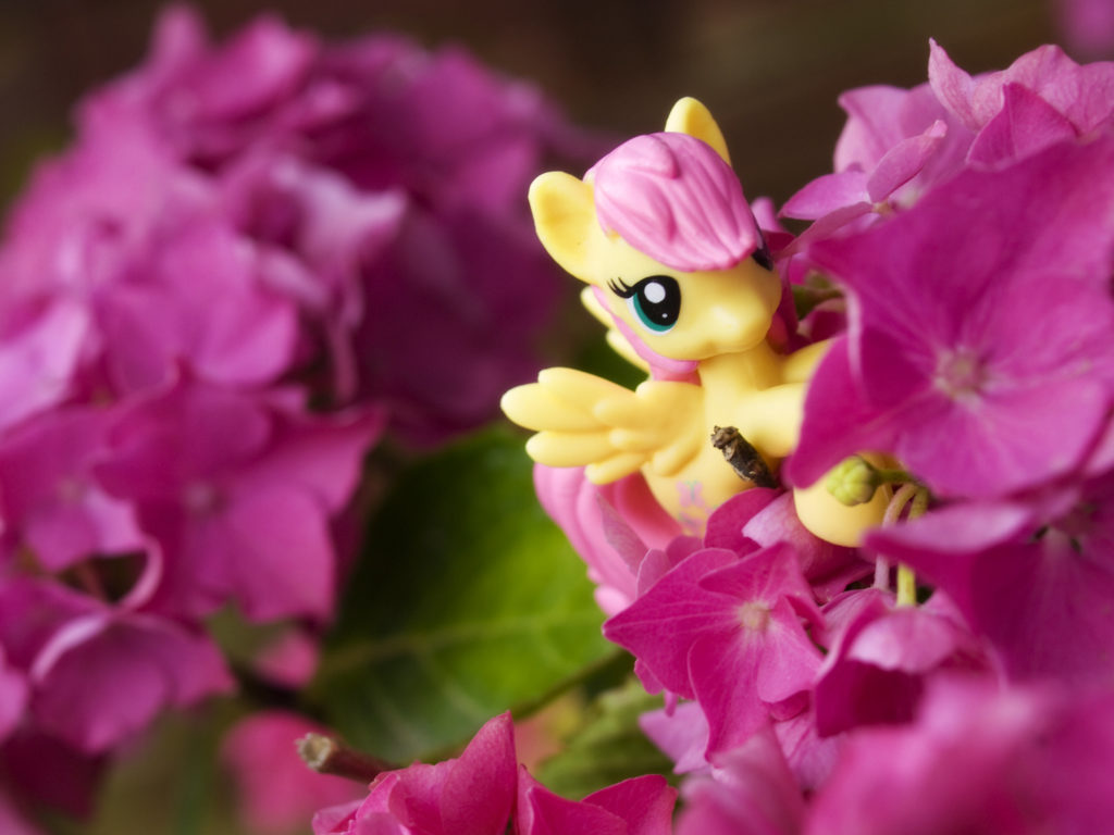 Fluttershy with a yellow body and a pink hair almost hiding in pink flowers