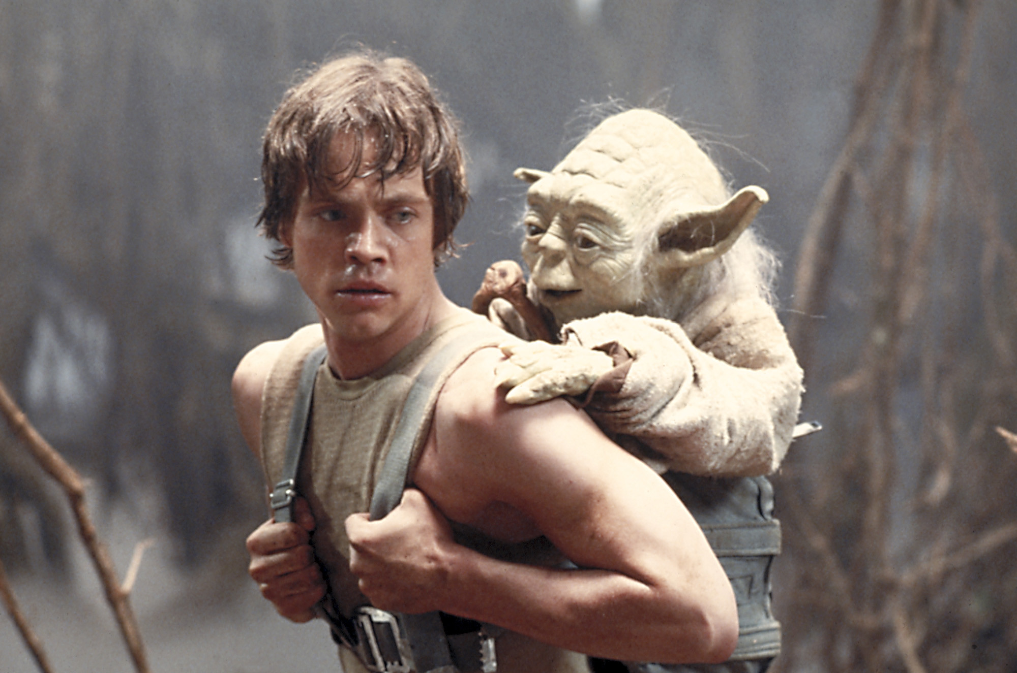 Luke Carrying Yoda