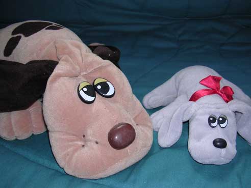 Two pound puppies on a blanket